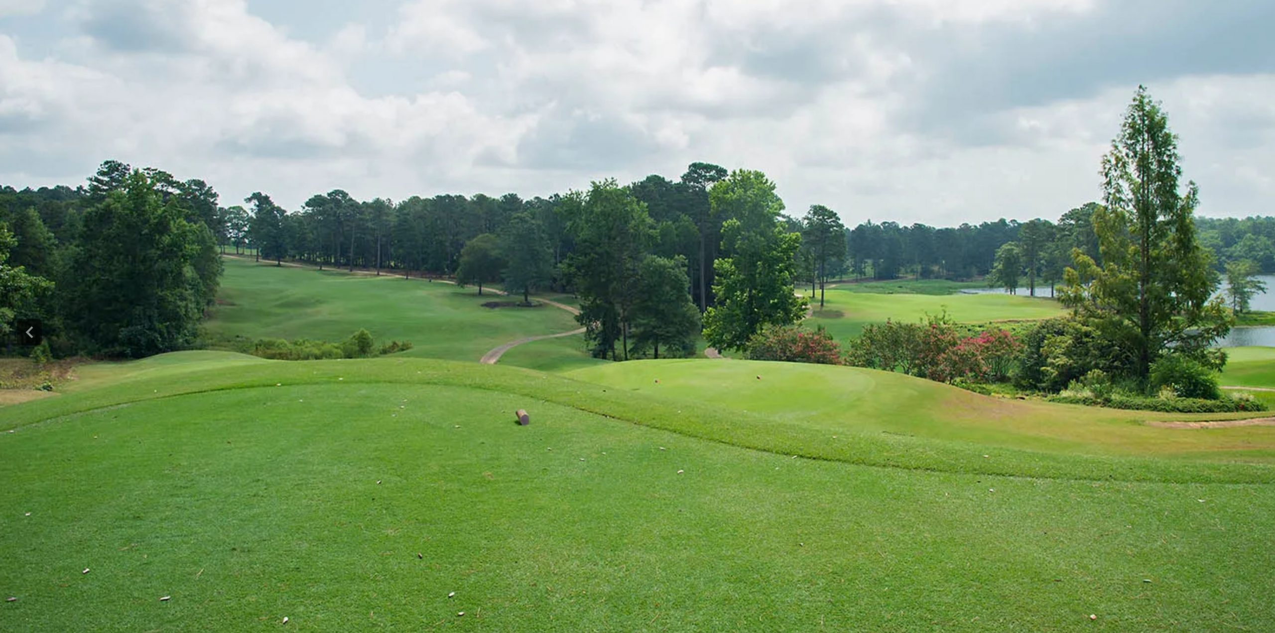 The Robert Trent Jones Golf Trail Grand National in Opelika alabama-rolling-green-hills
