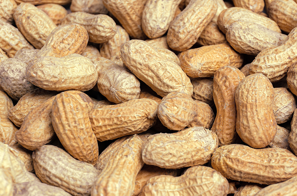 Agriculture alabama-agriculture-peanuts