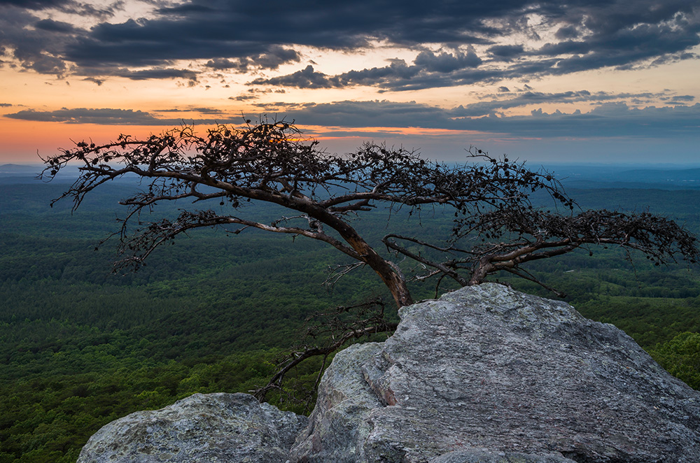 Mount Cheaha Welcome-to-sweet-home-alabama-sign
